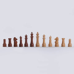GoChess Lite Classic – STEM Chess for Structured Learning