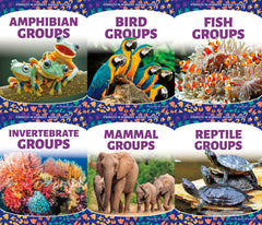 Strength in Numbers Animal Groups