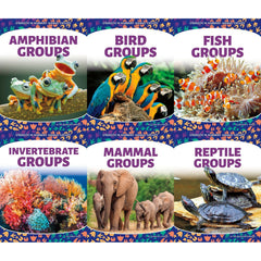 Strength in Numbers Animal Groups
