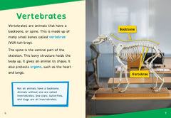 Life Classifications: Need to Know