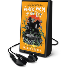 Black Birds in the Sky