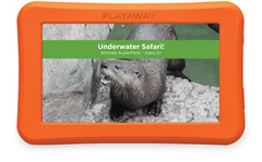 Underwater Safari!