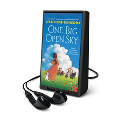 One Big Open Sky