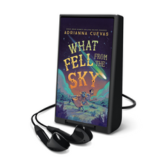 What Fell From the Sky