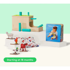 Sequencing, Early Math, and Emotional Awareness Development Kit - Lovevery Think it Out Mini Kit