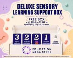 Deluxe Sensory Learning Support Box (EMS)