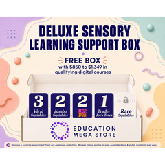 Deluxe Sensory Learning Support Box (EMS)