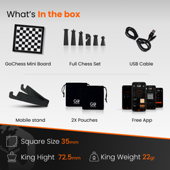 GoChess Mini – STEM Chess for Structured Learning