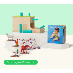 Sequencing, Early Math, and Emotional Awareness Development Kit - Lovevery Think it Out Mini Kit