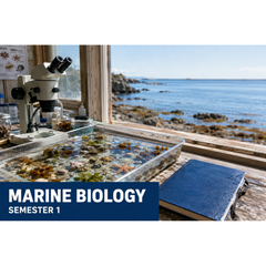 Marine Biology - Part 1