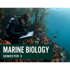 Marine Biology - Part 2