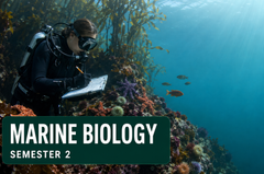 Marine Biology - Part 2
