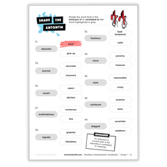 Reading Comprehension Vocabulary - *Print At Home* Digital Download (Mrs Wordsmith)