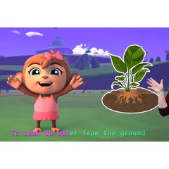 American Sign Language (ASL) Beginner Curriculum & Digital Learning Bundle | Pre K to Kindergarten