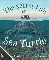 The Secret Life of a Sea Turtle (WB)