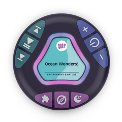 Ocean Wonders!