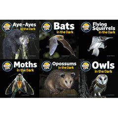 Animals After Dark