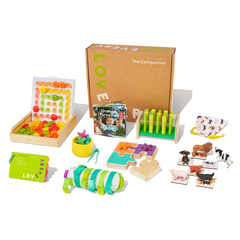 Problem Solving and Independent Learning Kit - Lovevery Companion Kit