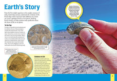 Rocks & Fossils