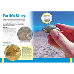 Rocks & Fossils