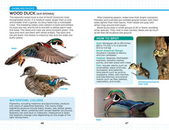 North American Field Guide #2