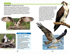 North American Field Guide #3
