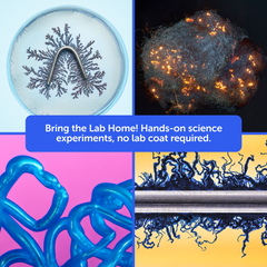 Indoor Junior Scientist Bundle - 12Kits. Ages 8–16+