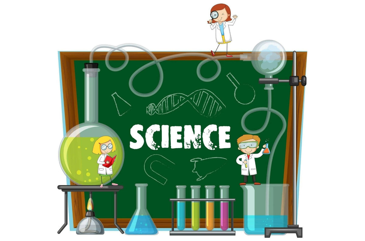 Kindergarten Science - Part 2
