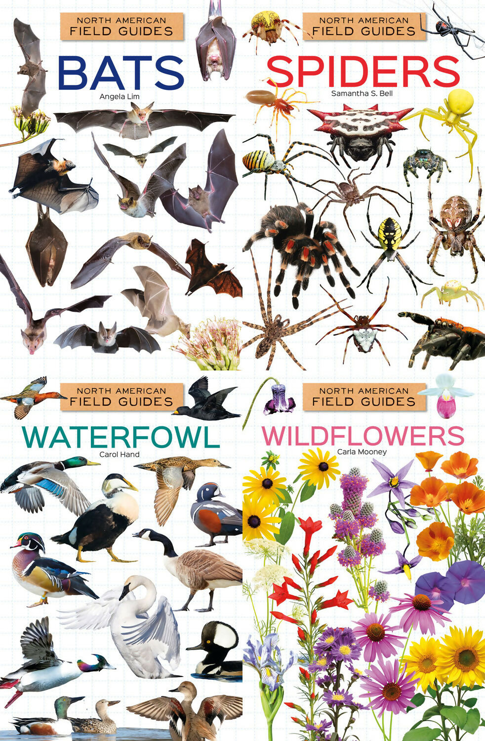 North American Field Guide #2