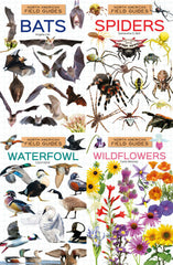 North American Field Guide #2