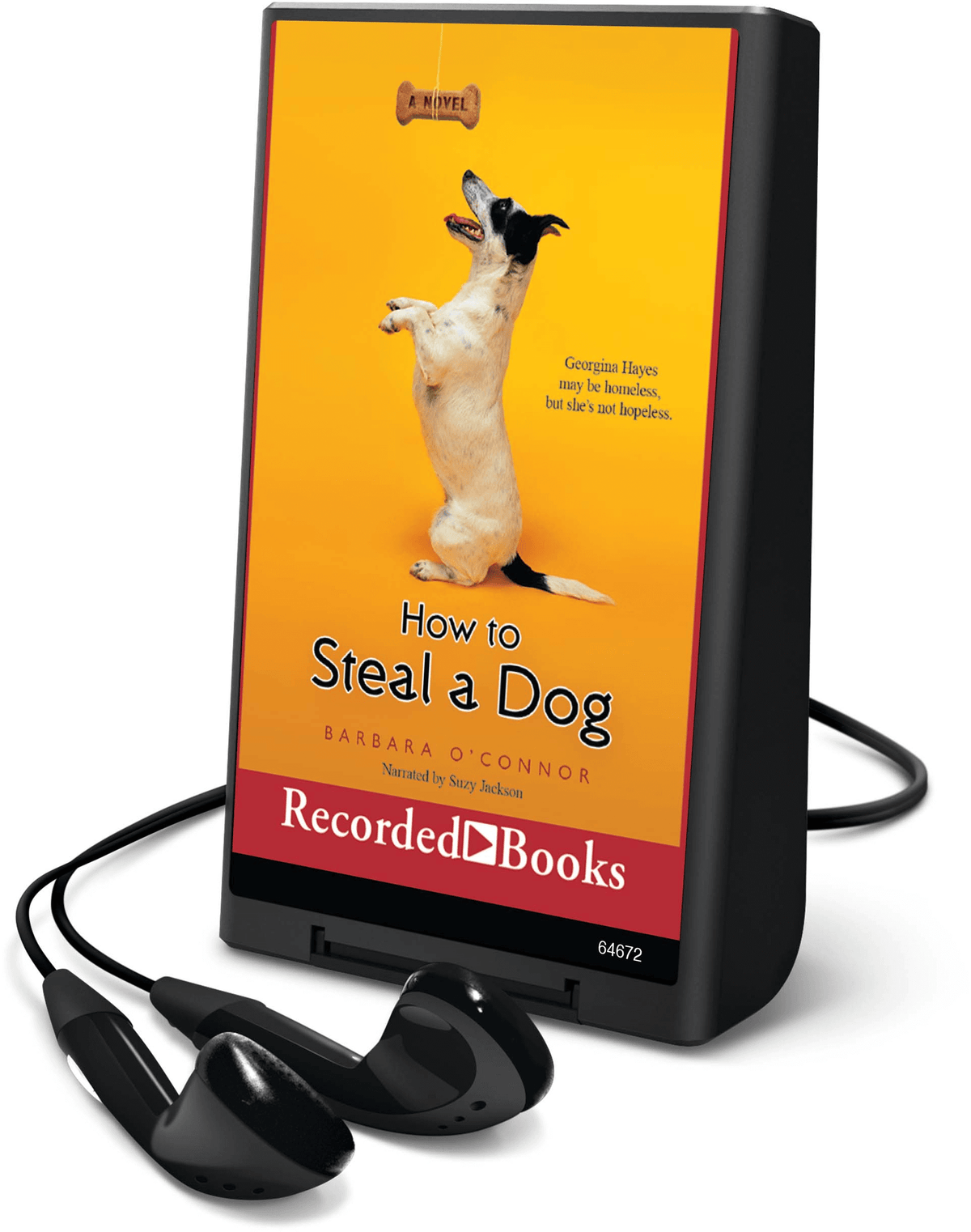 How to Steal a Dog