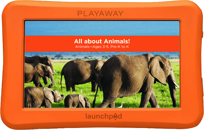 All about Animals!