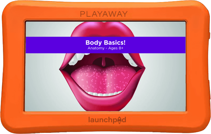 Body Basics!