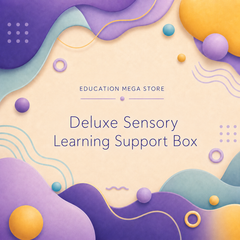 Deluxe Sensory Learning Support Box (EMS)