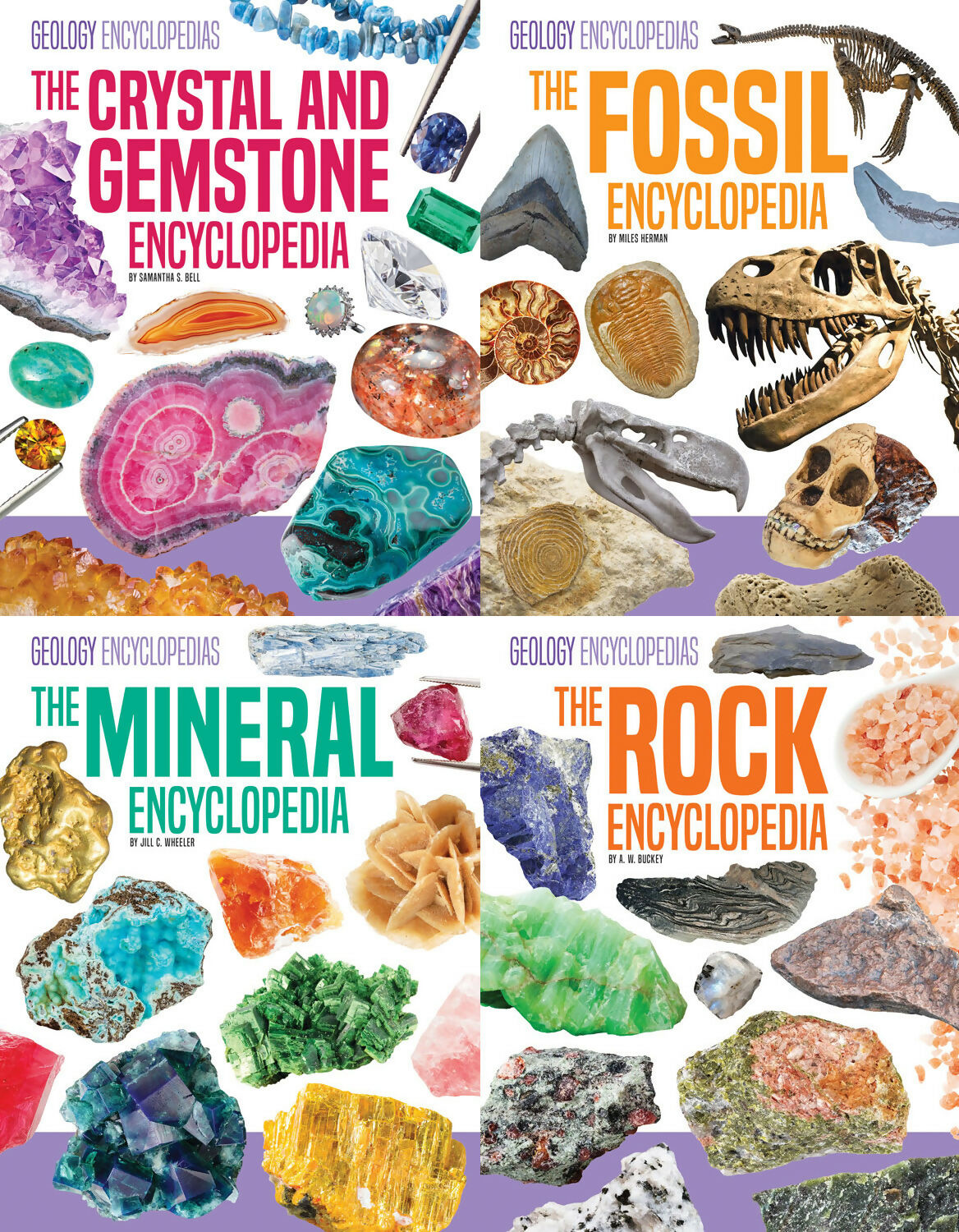 Geology Encyclopedias