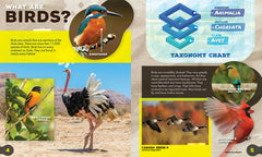 Animal Albums