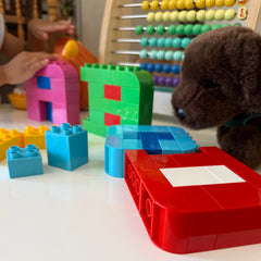 Hands On Phonics & Word Building Kit - Complete Alaphabet (Includes 26 letters)