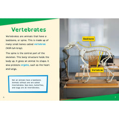 Product Image-1