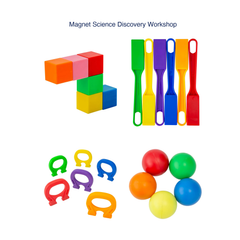 Magnet Science Discovery Workshop