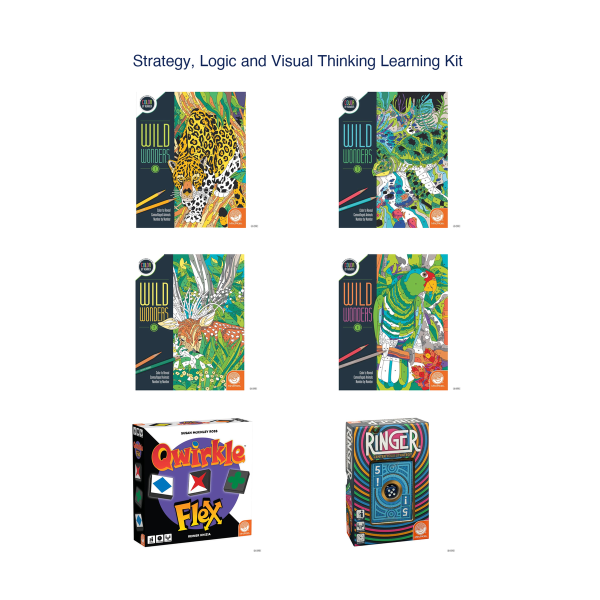 Strategy, Logic and Visual Thinking Learning Kit
