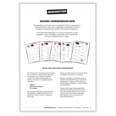 Reading Comprehension Vocabulary - *Print At Home* Digital Download (Mrs Wordsmith)