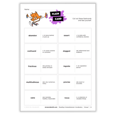 Reading Comprehension Vocabulary - *Print At Home* Digital Download (Mrs Wordsmith)