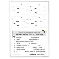 Spelling Grade 2 Mixed Practice - *Print At Home* Digital Download (Mrs Wordsmith)