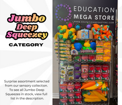 Ultimate Sensory Learning Support Box (EMS)