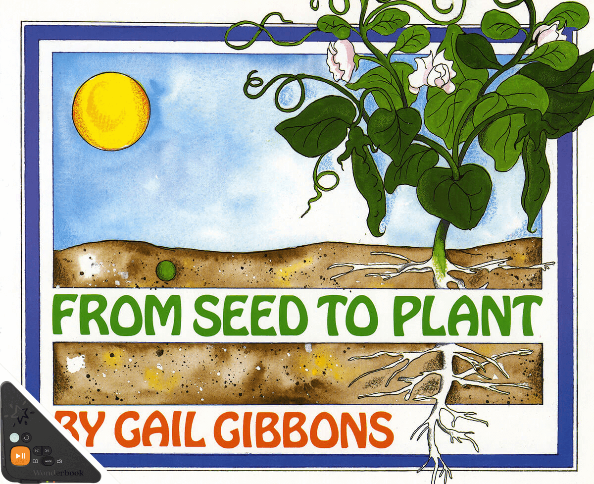 From Seed to Plant