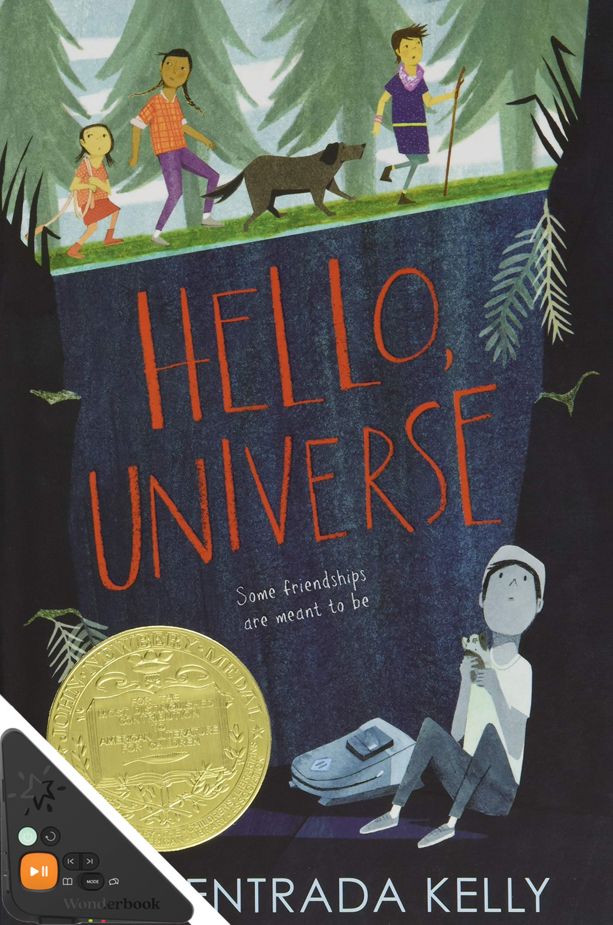 Hello, Universe (Large Print) (WB)