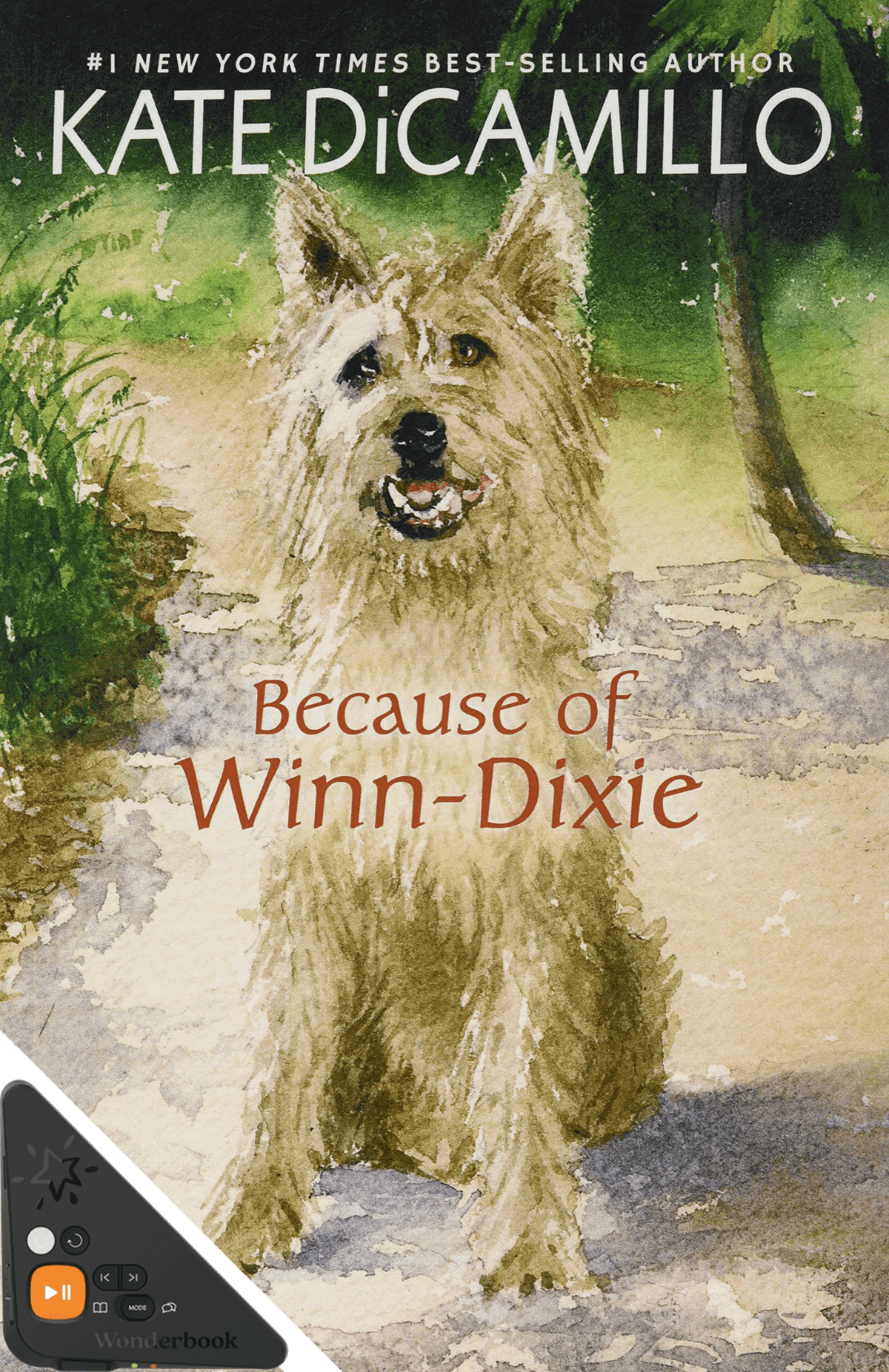 Because of Winn Dixie (Large Print) (WB)