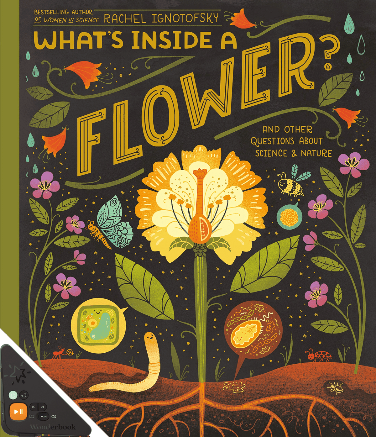What's Inside a Flower