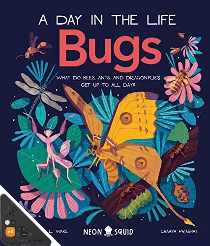 A Day in the Life: Bugs