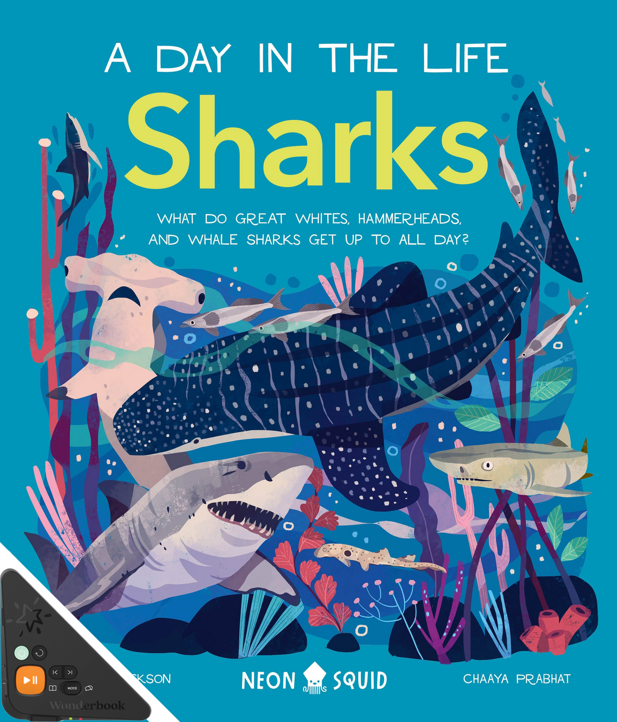 A Day in the Life: Sharks (WB)